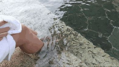 苏州乐园四季恒温温泉,苏州乐园四季恒温水乐园在哪里