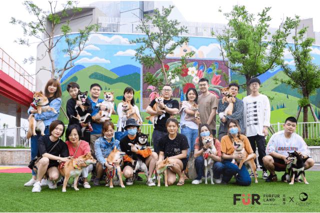 从铲屎官到创业者，他带领FURFURLAND销售额增长15倍