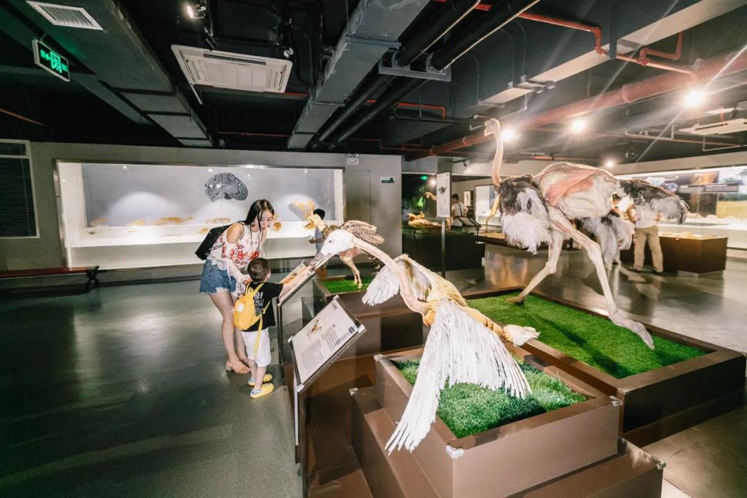 昆山5天八小时双休,昆山免费三日游