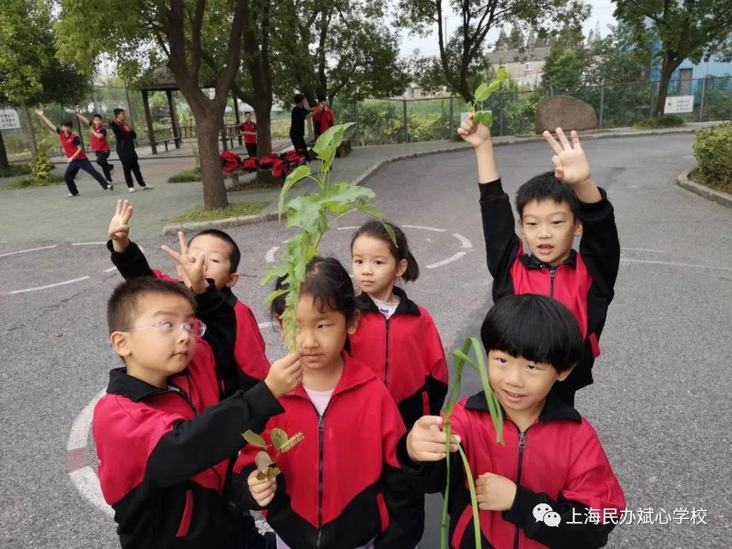 【扩散】一张一驰，文武斌心——民办斌心学校2020招生公告