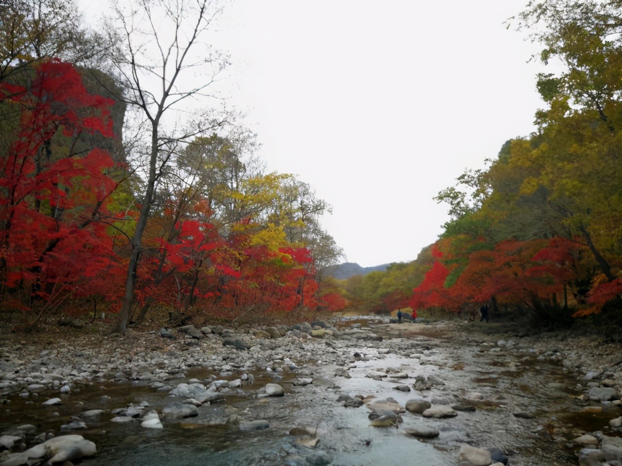 九月最美的旅行地方有哪些,十一推荐这10个秋天最美的旅行地