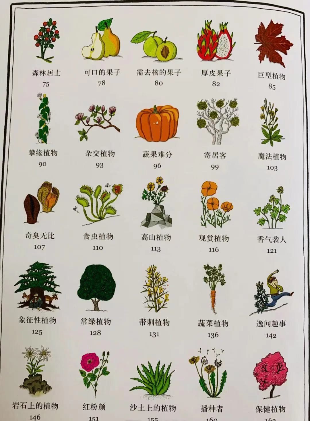 草莓长在树上好看吗,草莓是生命力顽强的植物