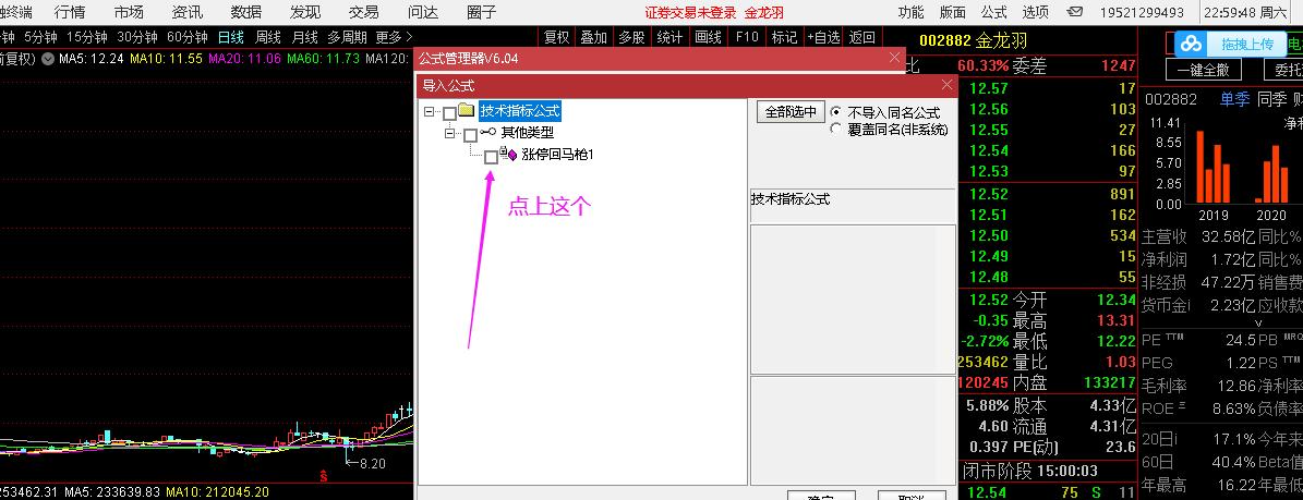 知名游资霸气涨停板选股指标,游资涨停回马枪选股公式和指标