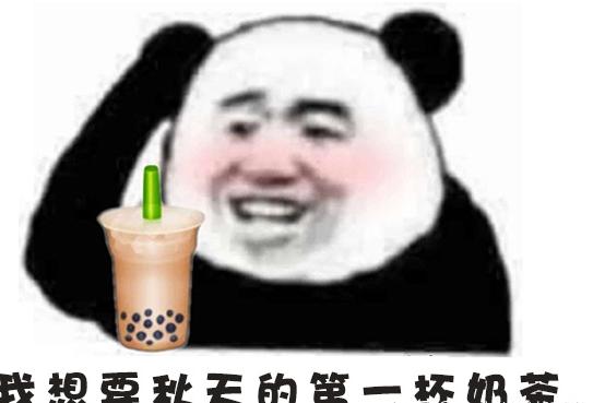 秋天的第一支口红ysl,秋天的第一支口红安排上了吗