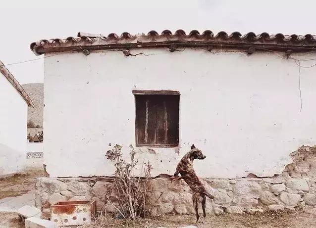 心灵鸡汤励志正能量短句人生感悟,心灵鸡汤女人励志语录正能量