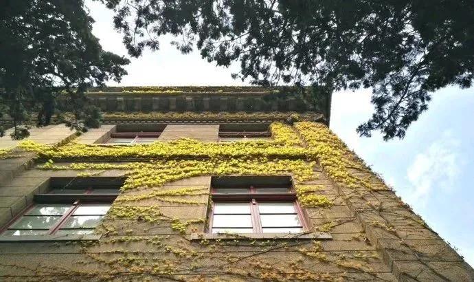 青岛是一座非常值得参观的城市,青岛不是一线城市吗