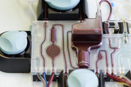 婴儿小黄人怎么处理,家有小黄蚂蚁怎么解决