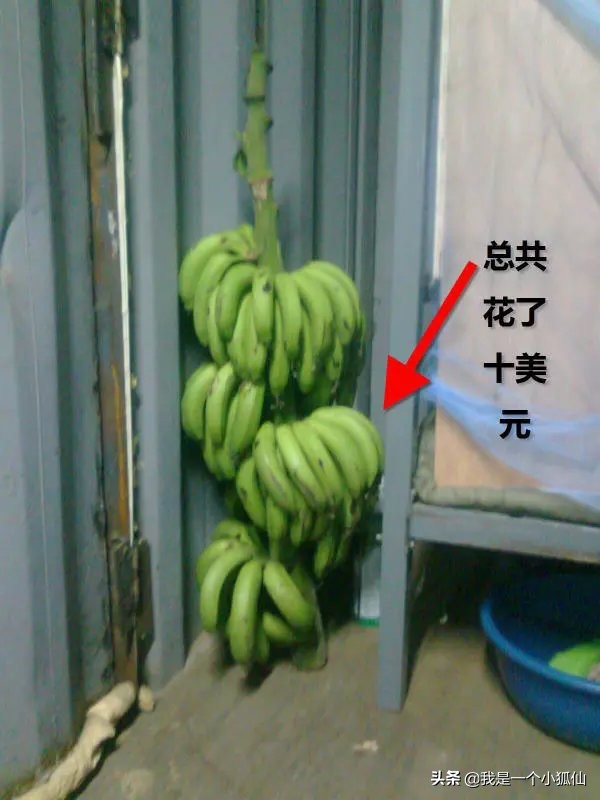 2012年我在安哥拉买了10美元的香蕉在非洲安哥拉的日子166