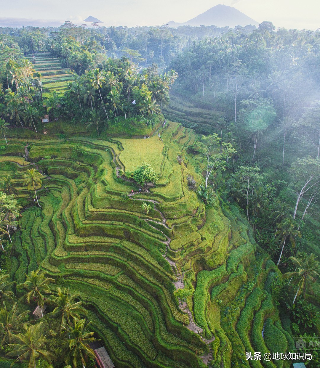 印尼在亚洲的实力排名,印尼有几亿人