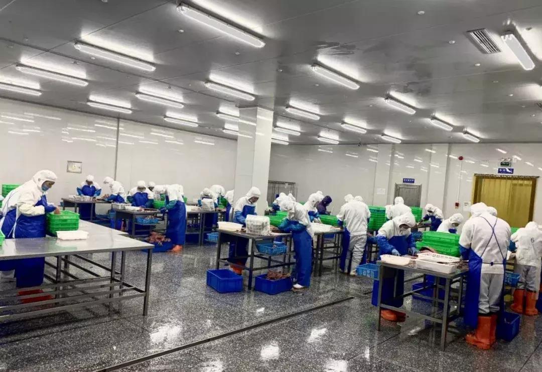 一家海鲜小店一年能赚多少 (自助海鲜店是怎样盈利的)