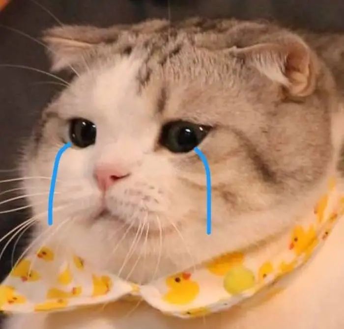 猫咪患ibd慢性肠炎怎么治疗,猫咪肠胃炎之后总是软便怎么调理