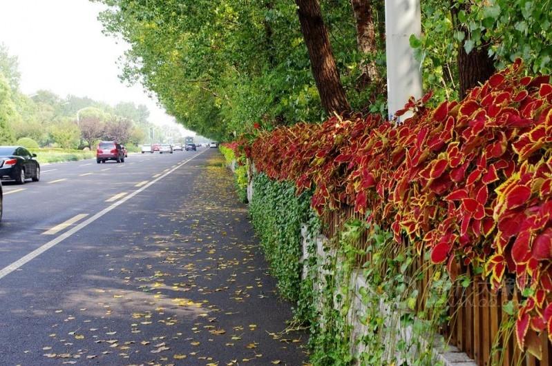 十一沿途风景,十一去红叶谷的景致