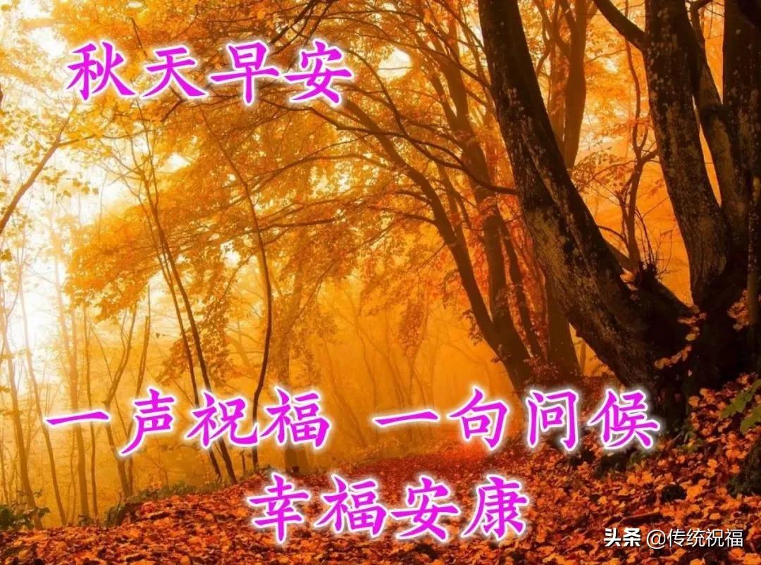 走得太急脚太累女生完整版说说,心累了早安
