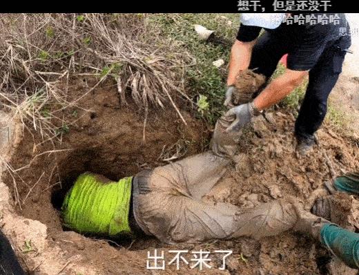 为何年轻人都在沉迷赶海视频,为什么大家都爱看赶海