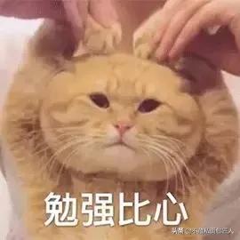 日本海淘必买剁手清单,日本必买剁手清单