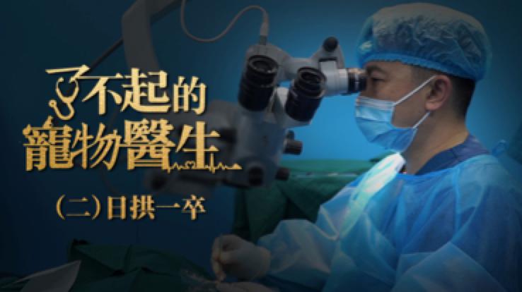 什么都能治的宠物医生,了不起的宠物医生观后感