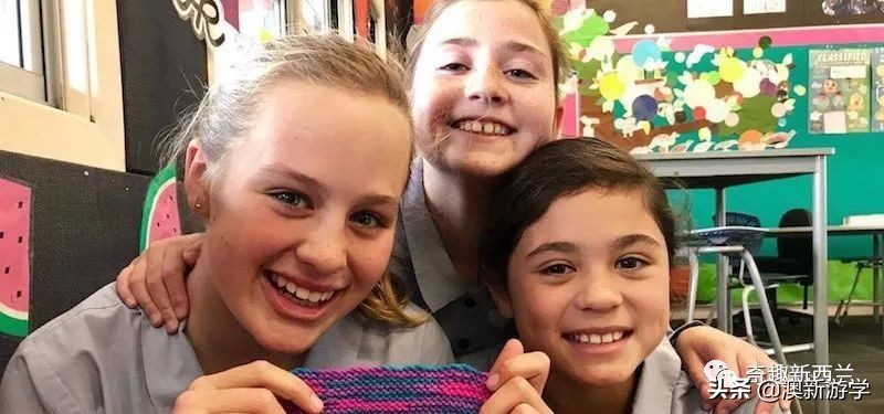 奥克兰小学生游学,奥克兰两日游旅游攻略