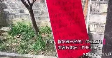 假期打卡魔都网红餐厅,假期打卡美食店