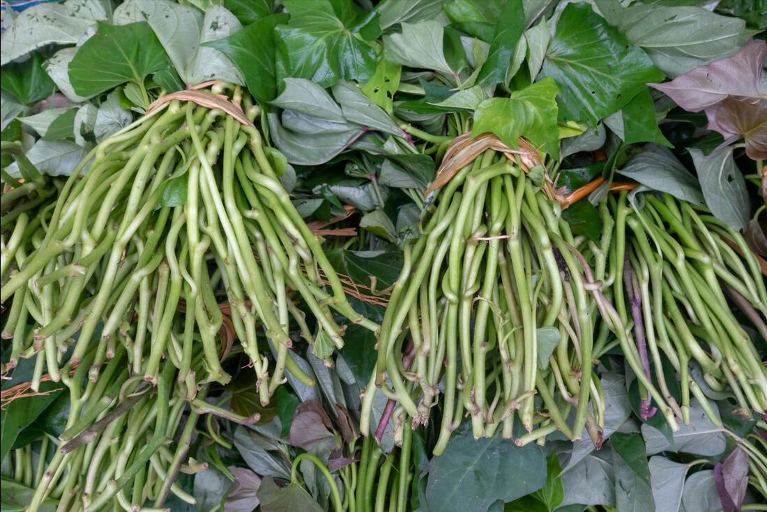 红薯叶焯水后发黑是什么原因,炒红薯叶如何不让变色