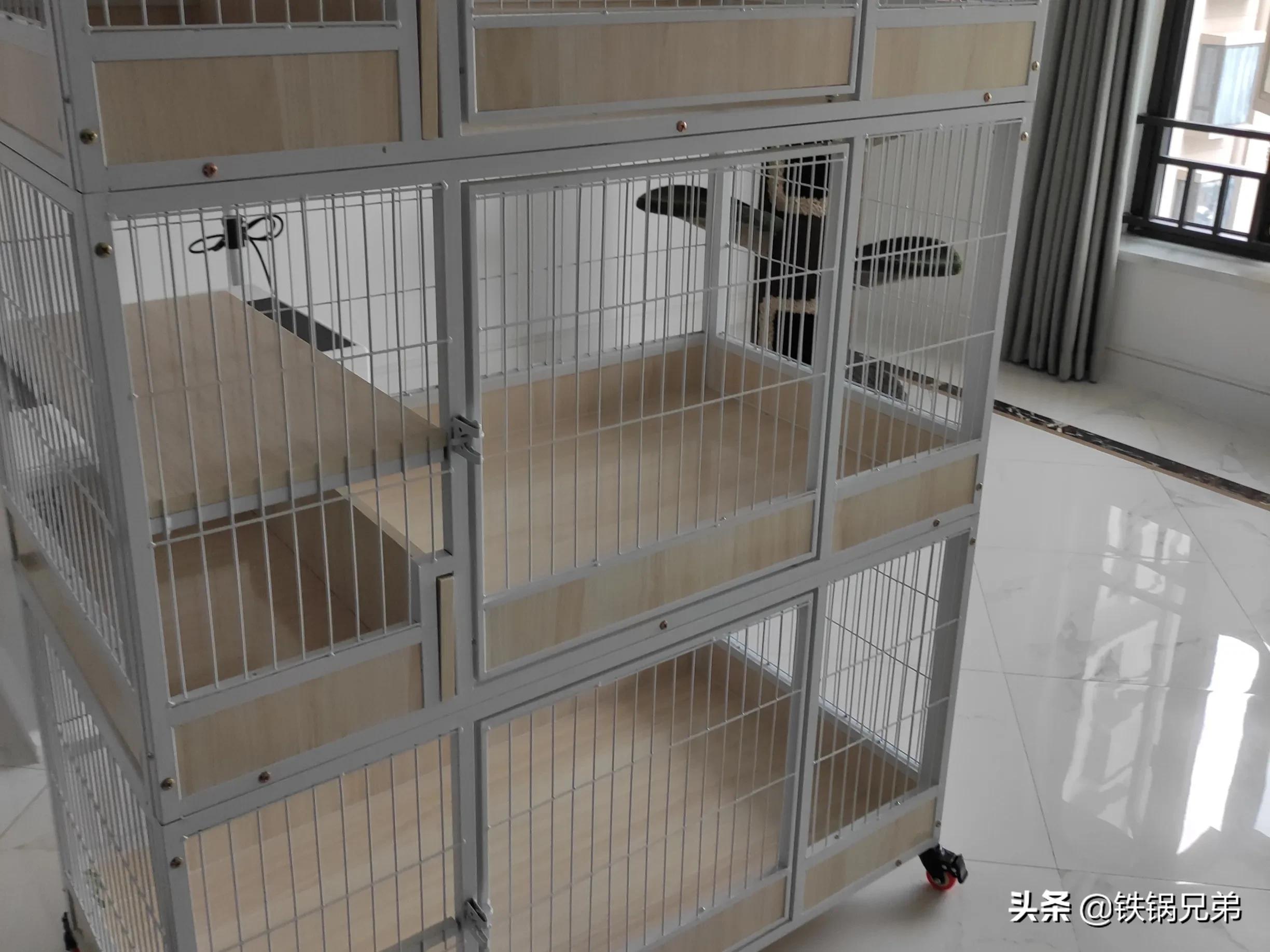 转行做外卖的真实经历,室内设计转行外卖小哥的第一周