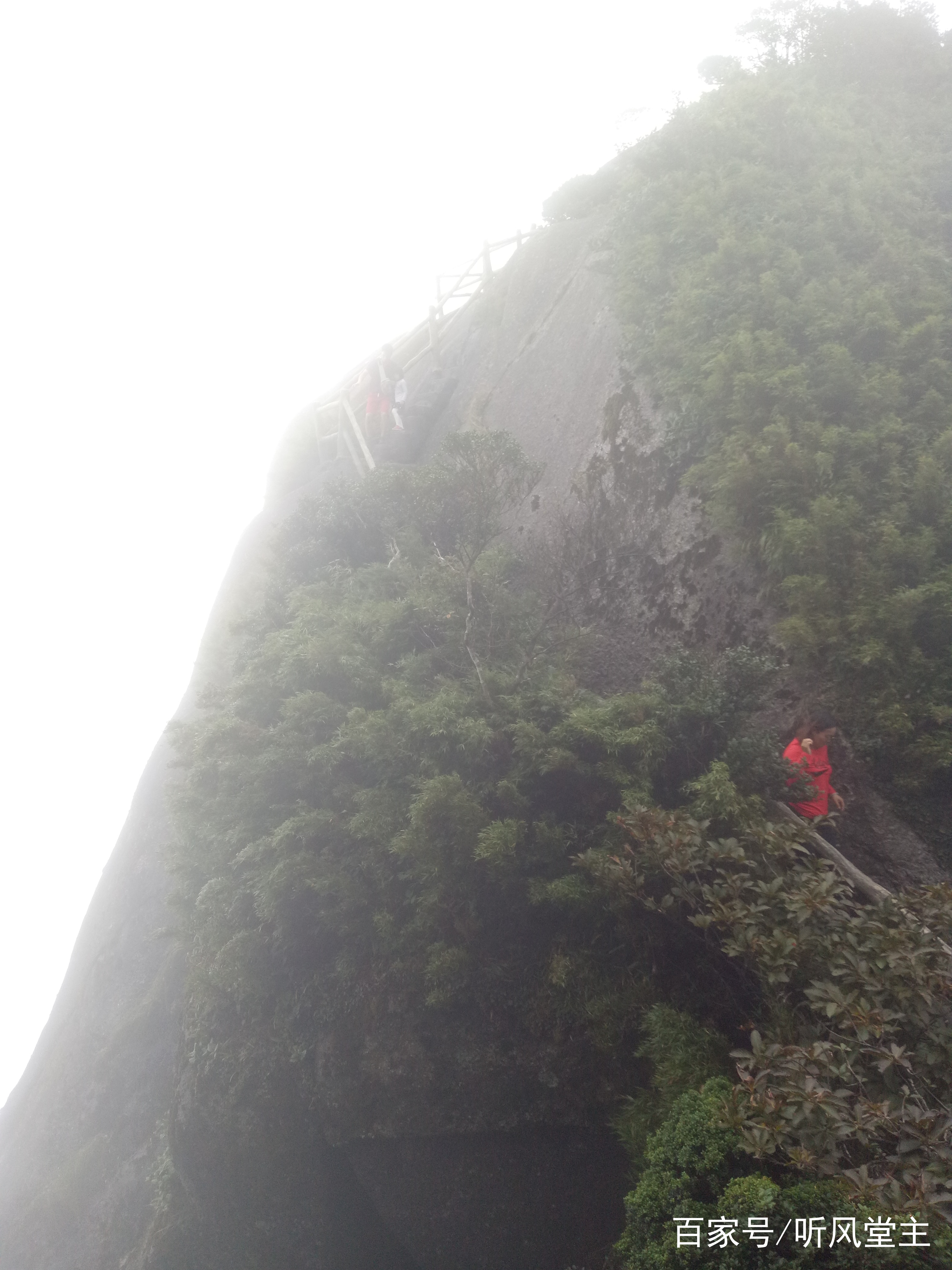 桂林猫儿山一日游攻略,桂林猫儿山旅游攻略一日游