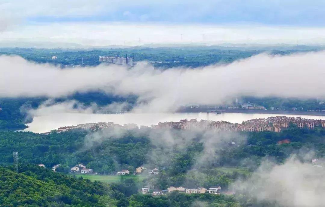 湖南农村小伙卖辣椒,80后小伙收购10吨蔬菜