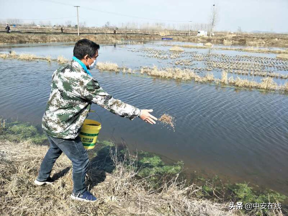 疫情期间邻里互助暖心故事,守望相助邻里和谐暖人心
