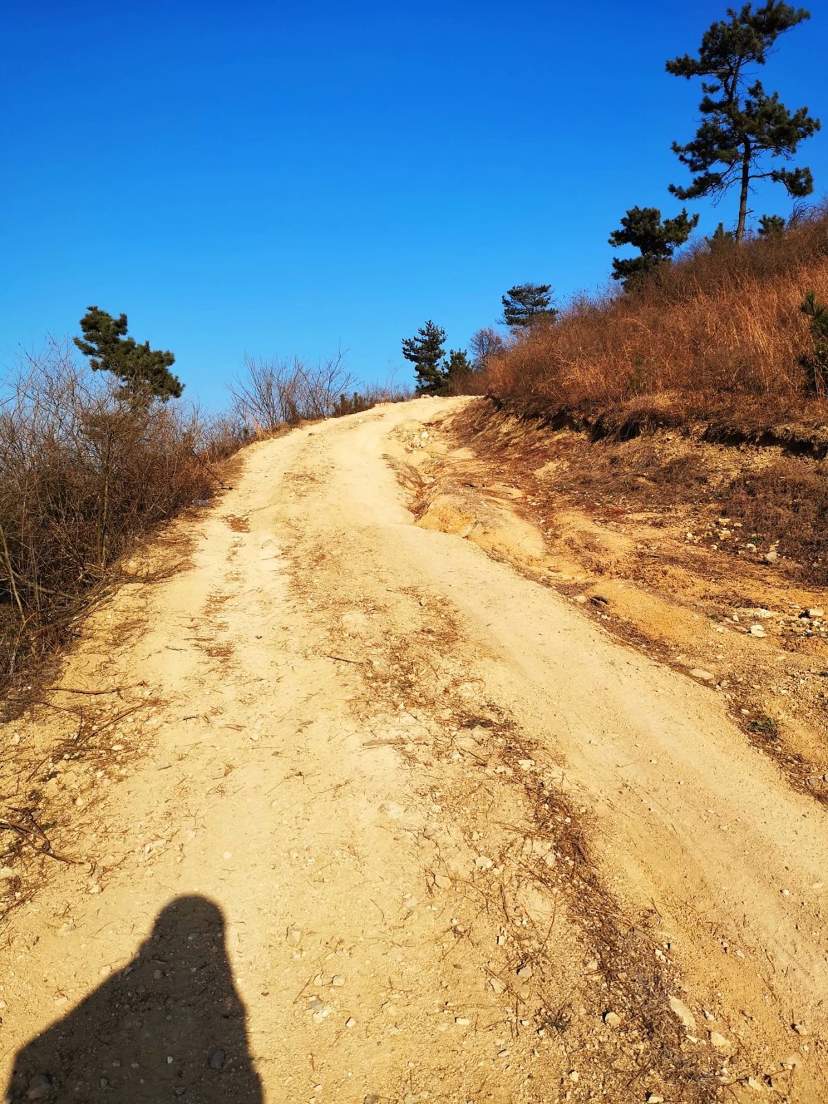 摩托周边旮旯游——探访蚌埠李楼鲁山寺遗址（上）