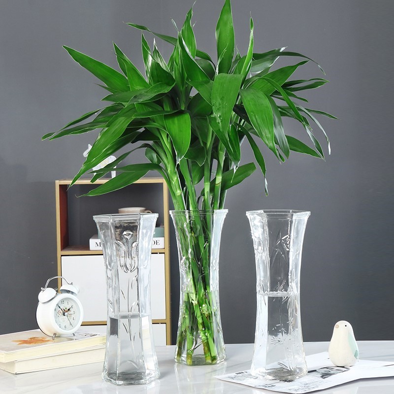 富贵竹爱长红蜘蛛吗,富贵竹黄叶爱喝什么水