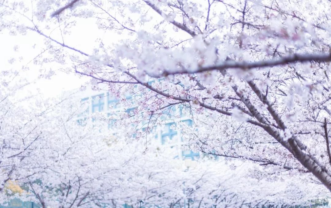 上海地铁14号线有哪些好玩地方,上海地铁三号线有什么好玩的地方