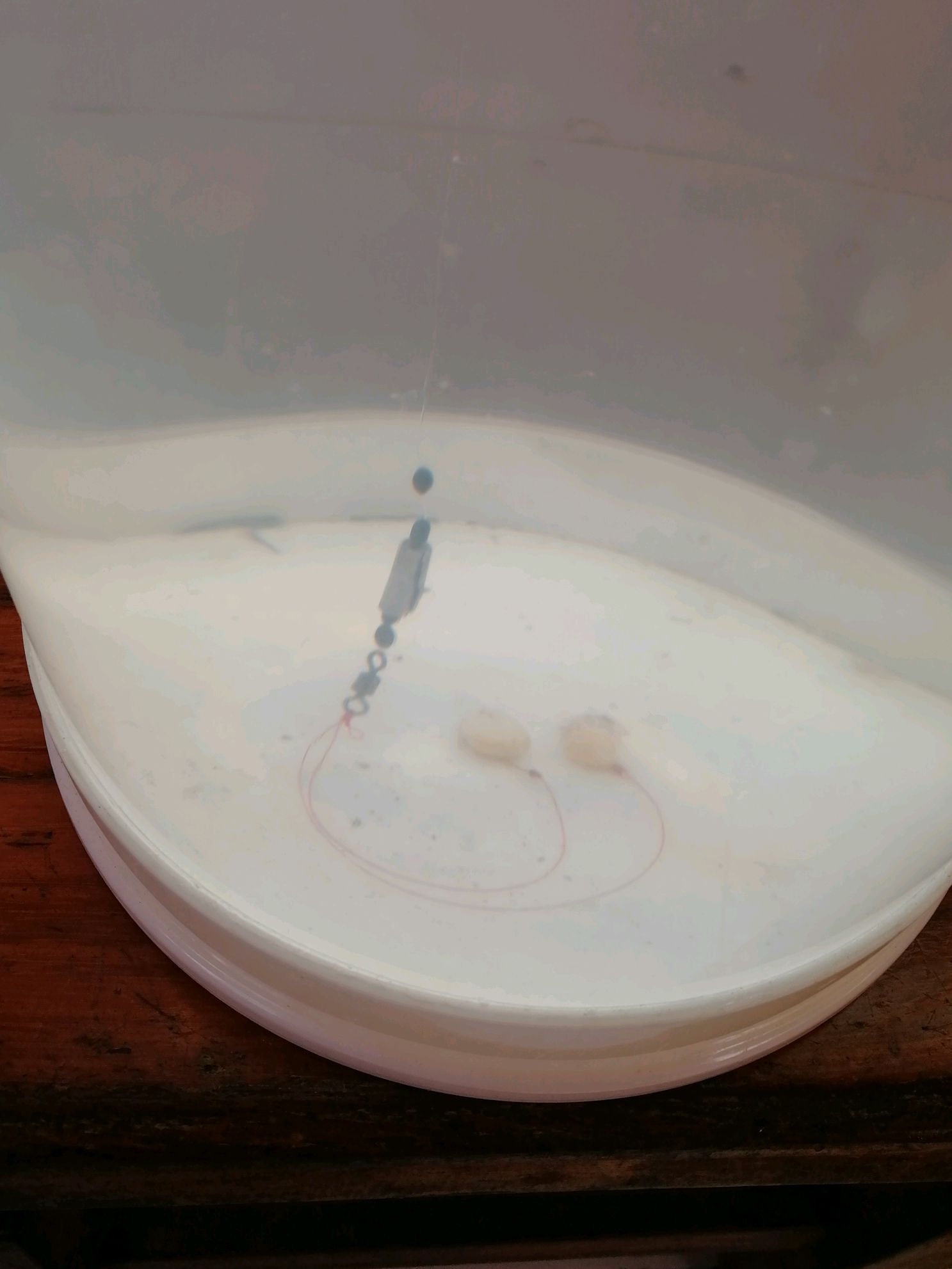 如果你还不会转球三步诀窍请收下,如果你还不会排版怎么办