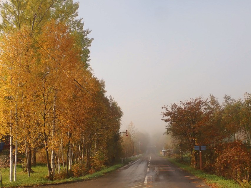 日本从南到北旅游路线,从南游到北