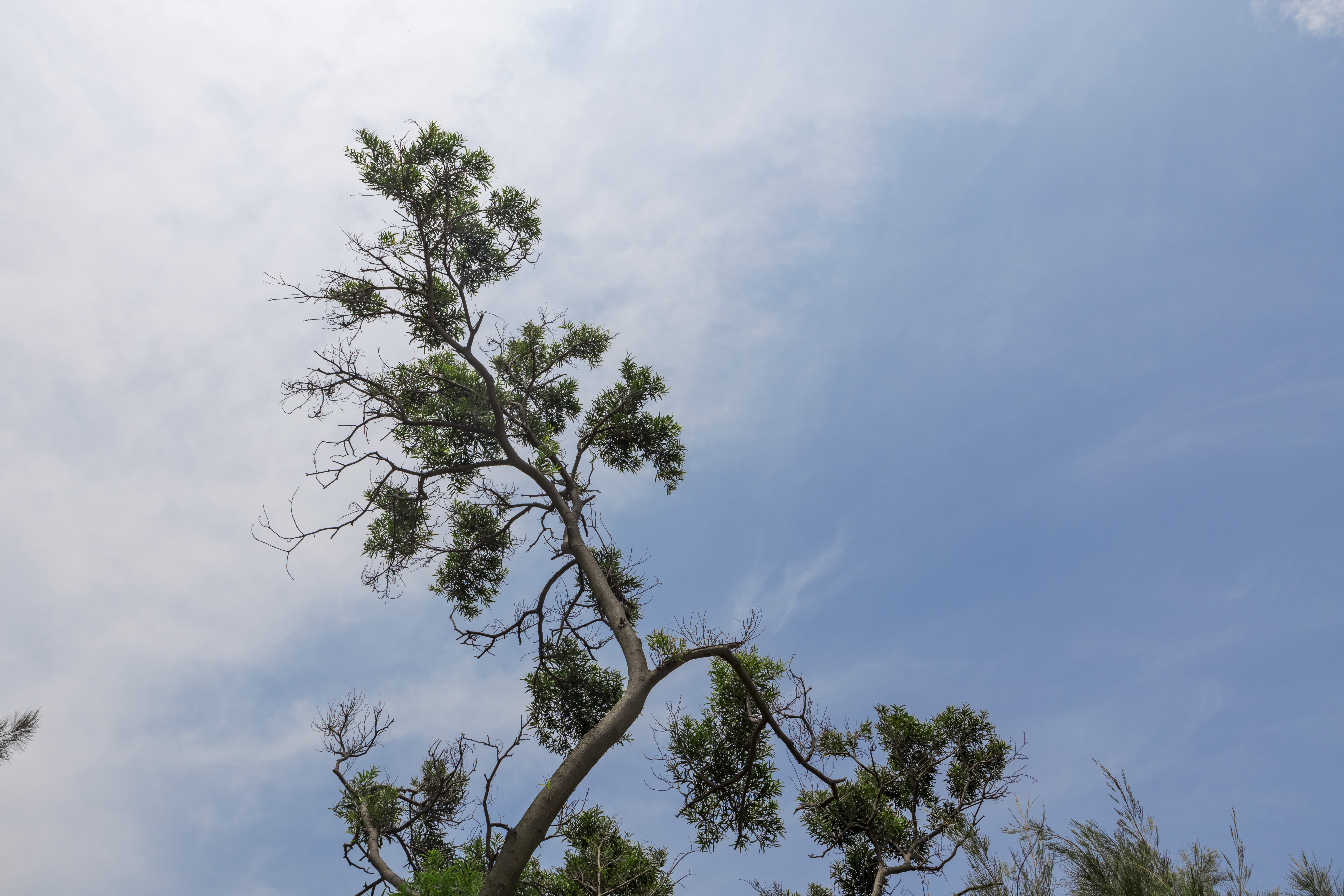 厦门大嶝岛英雄三岛战地观光园,厦门大嶝岛旅游攻略看日出
