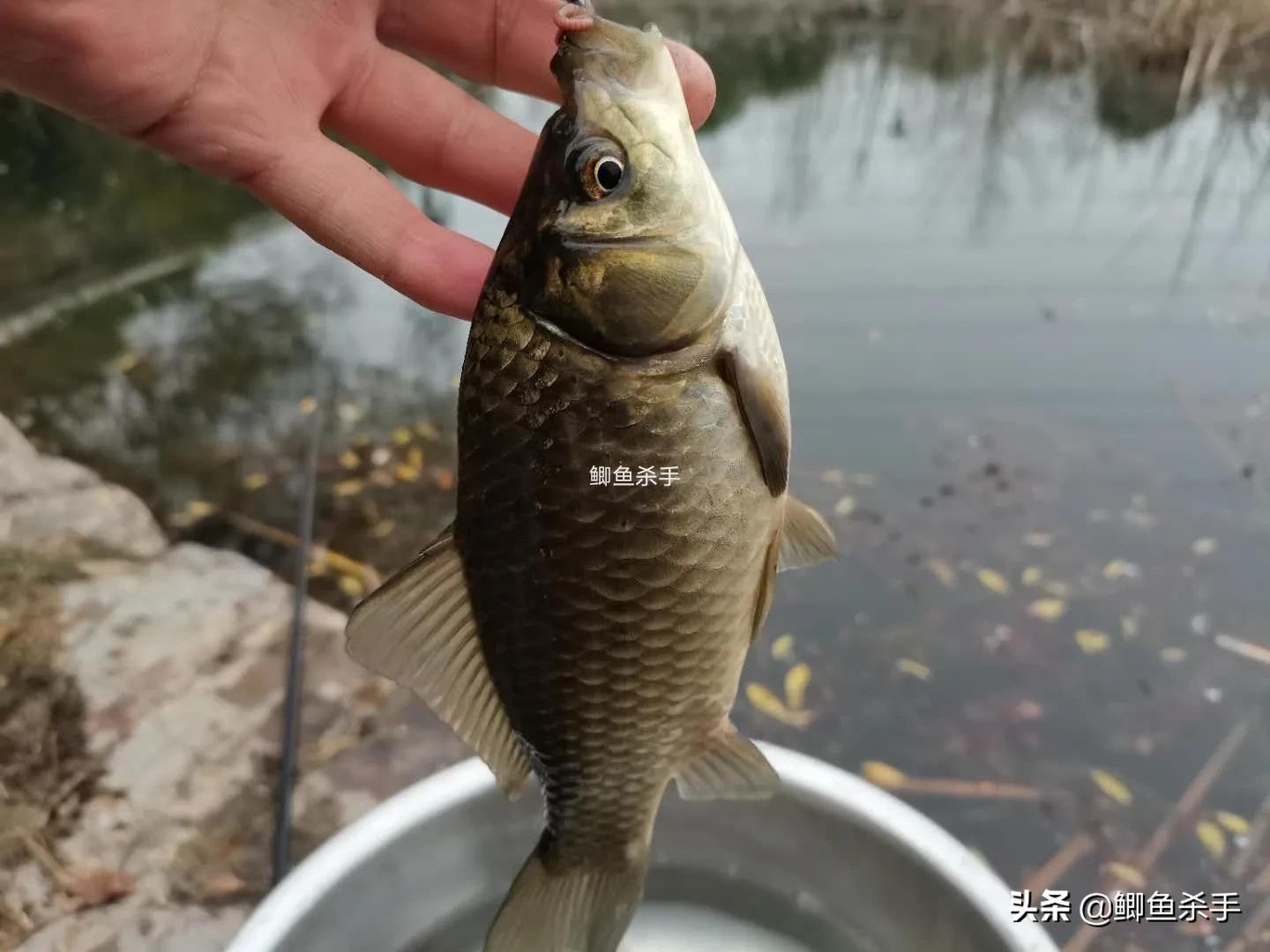 钓鱼人不愿意透露钓点段子,初春钓鱼有鱼无口怎么办