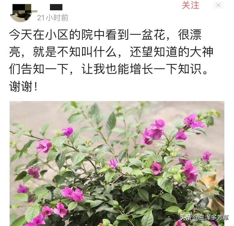 遇到不认识的植物怎么办,遇到不认识的物种你会怎么做