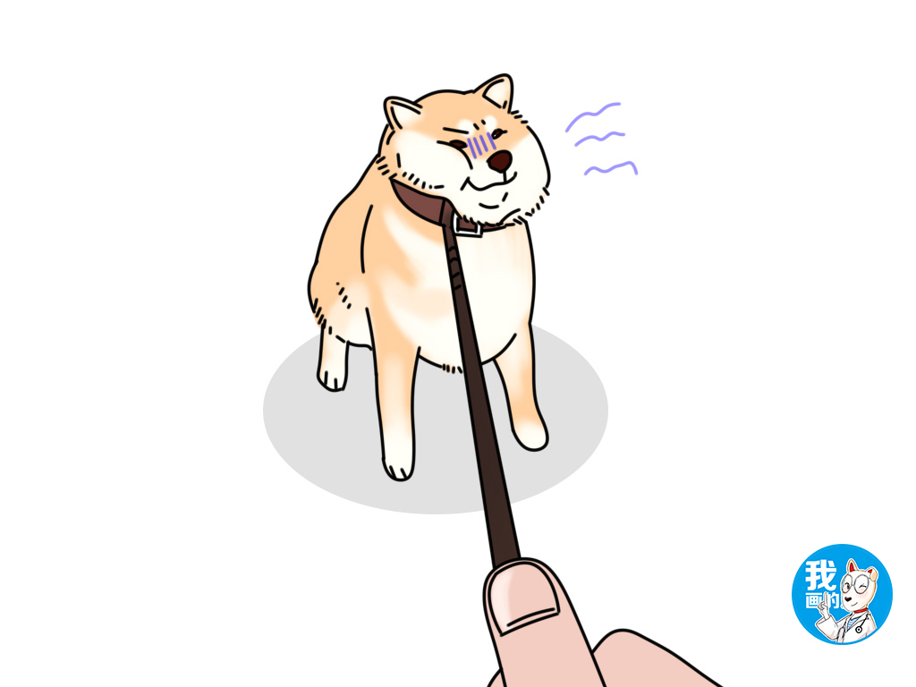 狗狗突然尿尿变得频繁不能憋尿,狗狗憋尿一整天会影响健康吗