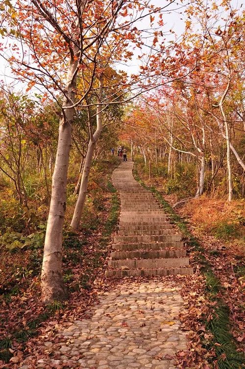 宁波北仑有几个岛,北仑十大山
