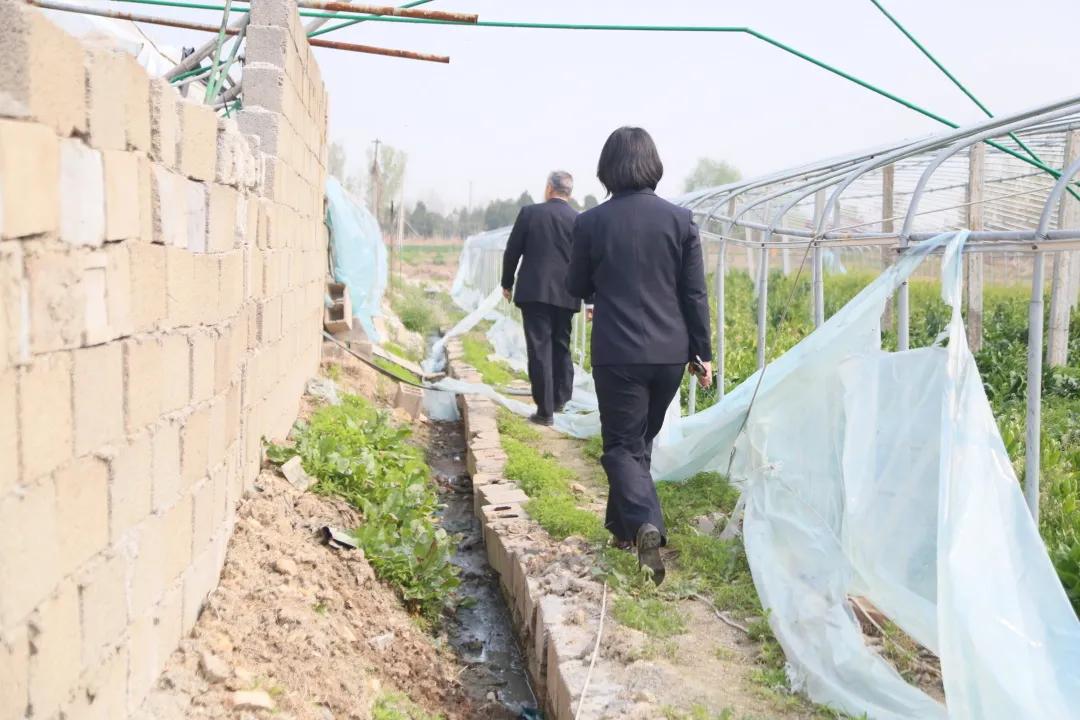 我为群众办实事清理道路淤泥,我为群众办实事潘河村