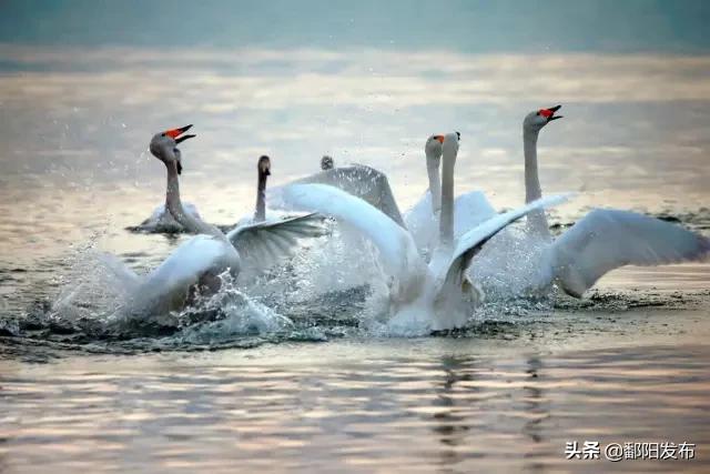 遇见美丽水乡,鄱阳鄱阳湖
