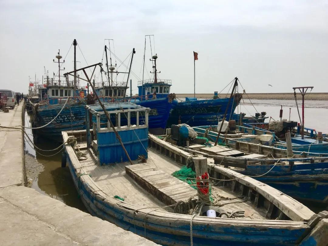 一个不出郑州的踏青好去处,天津春游公园推荐