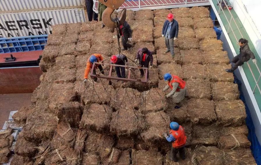 适合穷人的18个创业加盟项目农村,农村适合穷人的18个创业项目