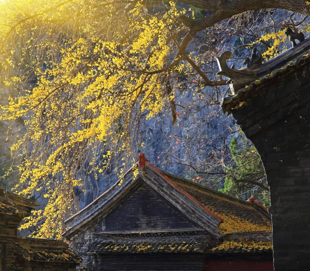 博山区年审,博山年审