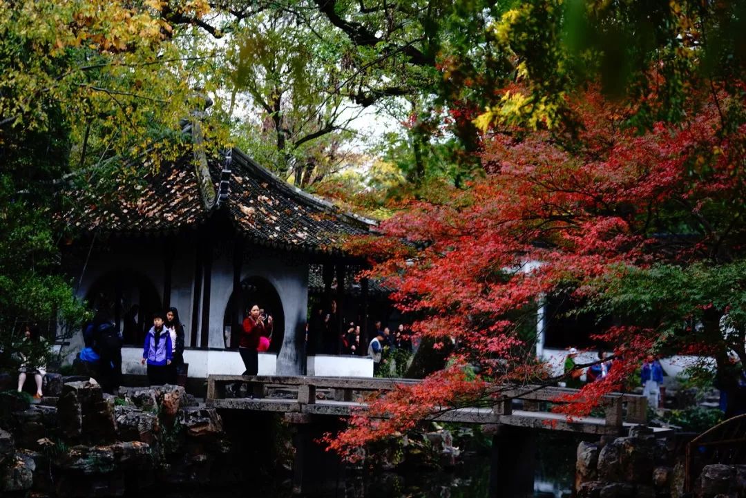 一入秋苏州成姑苏,秋色一入秋苏州就成了姑苏