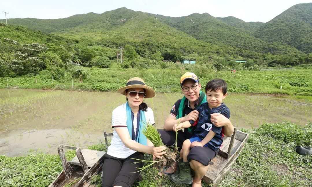 郭晶晶霍启刚接受港媒采访,郭晶晶霍启刚这两天在忙什么