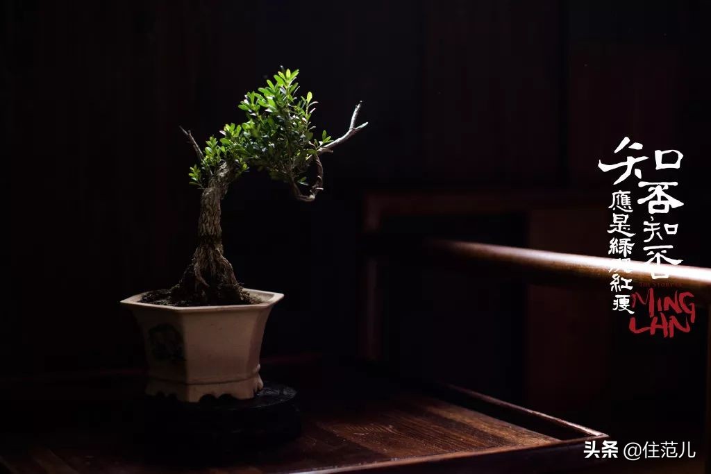 知否知否宋代装修,知否房子装修