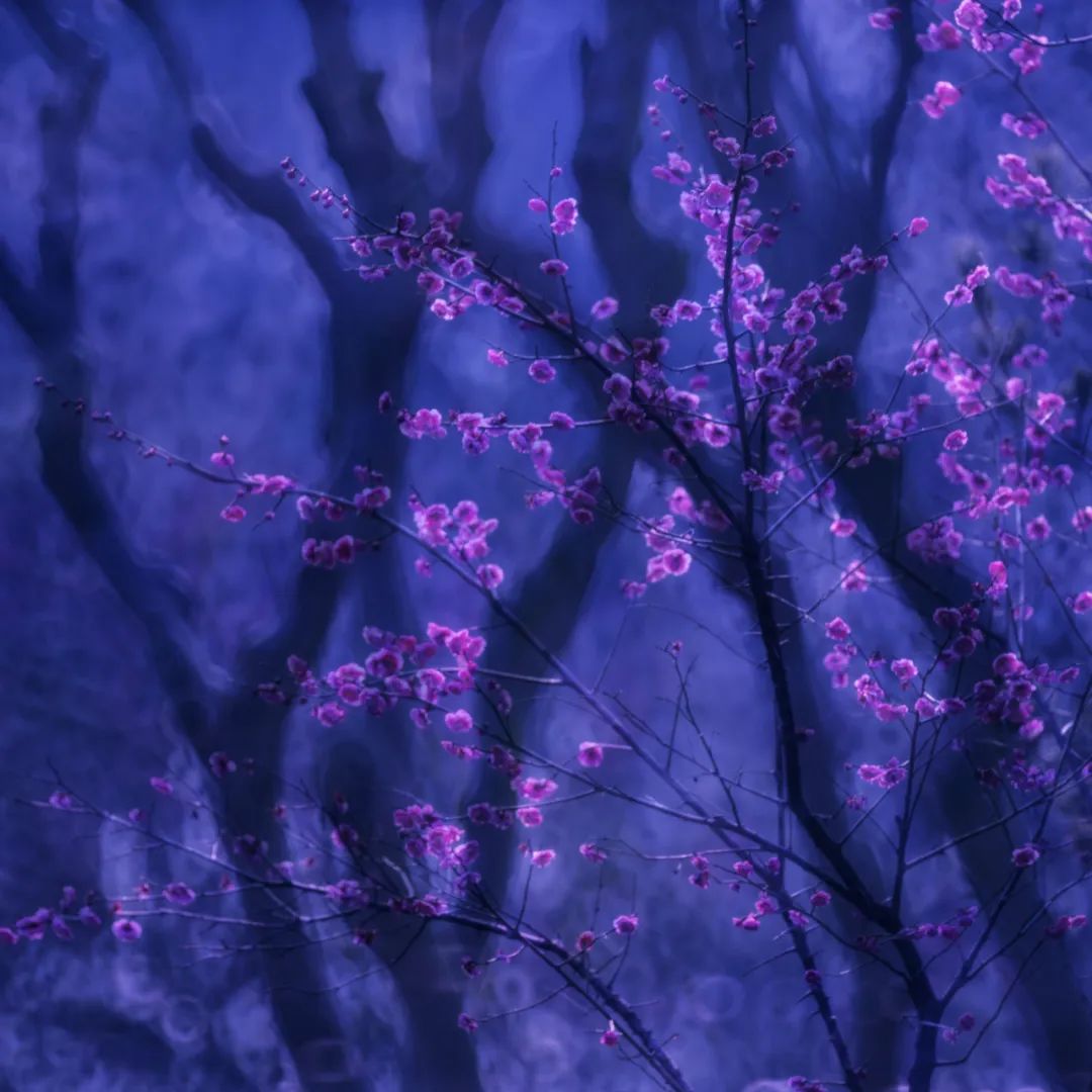 香港第14届全国摄影艺术展,第29届全国摄影艺术展览获奖名单