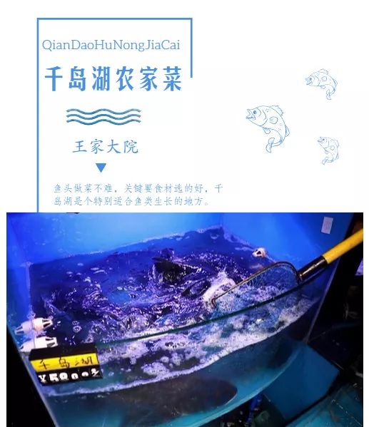 在合肥也能吃到地道的重口味,合肥好吃的鱼头1912