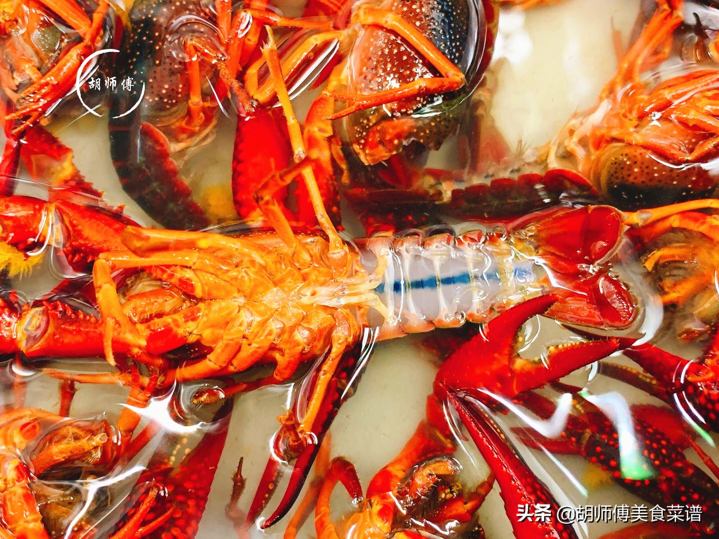 快速清洗龙虾的秘诀,龙虾快速清洗办法