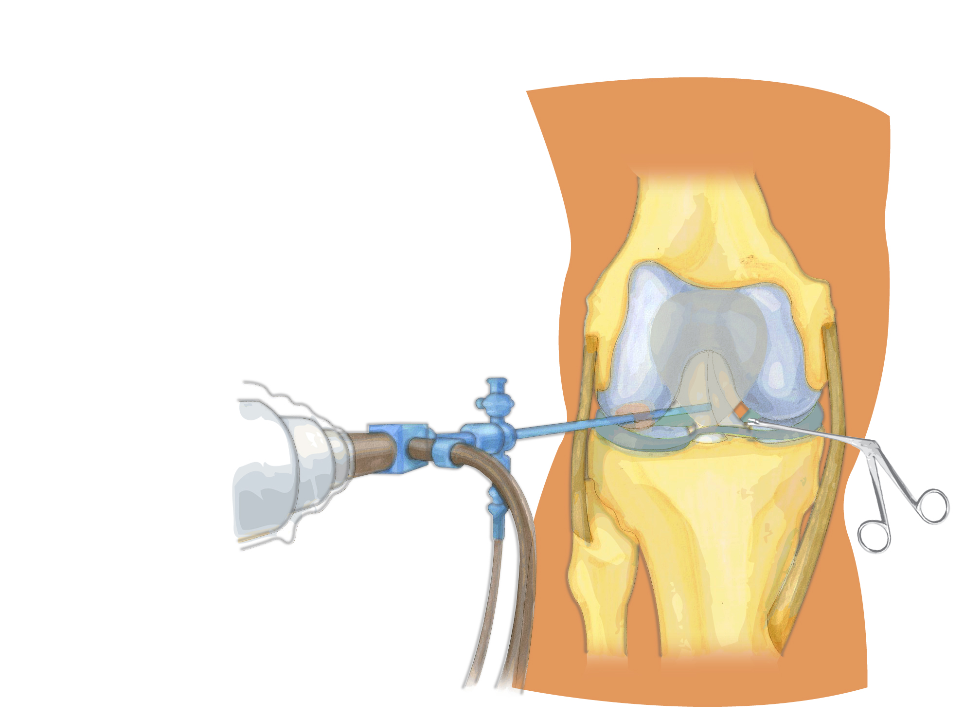 热爱舞蹈的老阿姨,热爱跳舞的阿姨