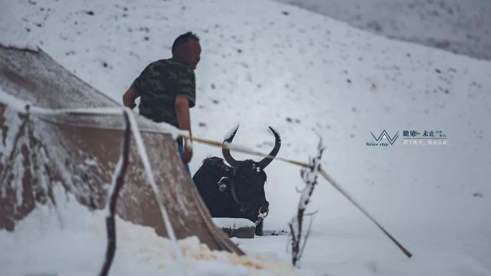 高山之巅的感悟,高山低谷的感悟